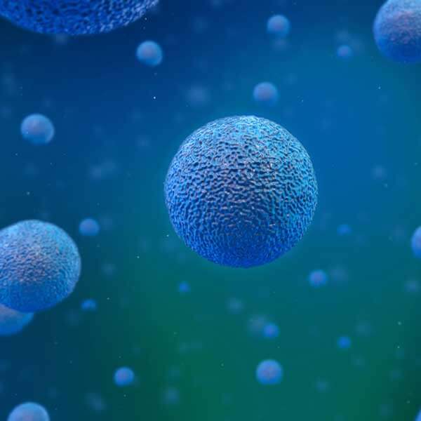 Biology Biology