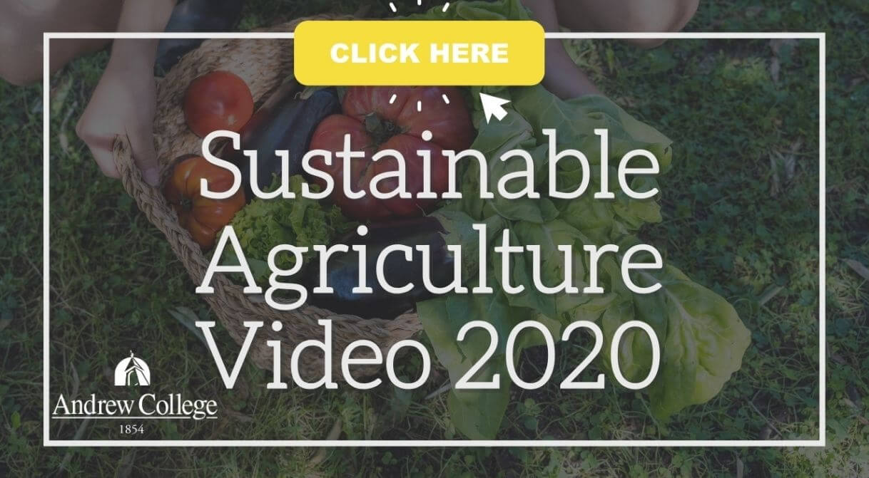 Agriculture video 2020